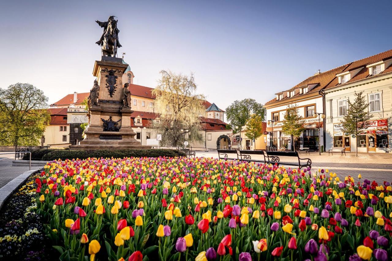 Hotel Bellevue Tlapak Poděbrady Eksteriør bilde