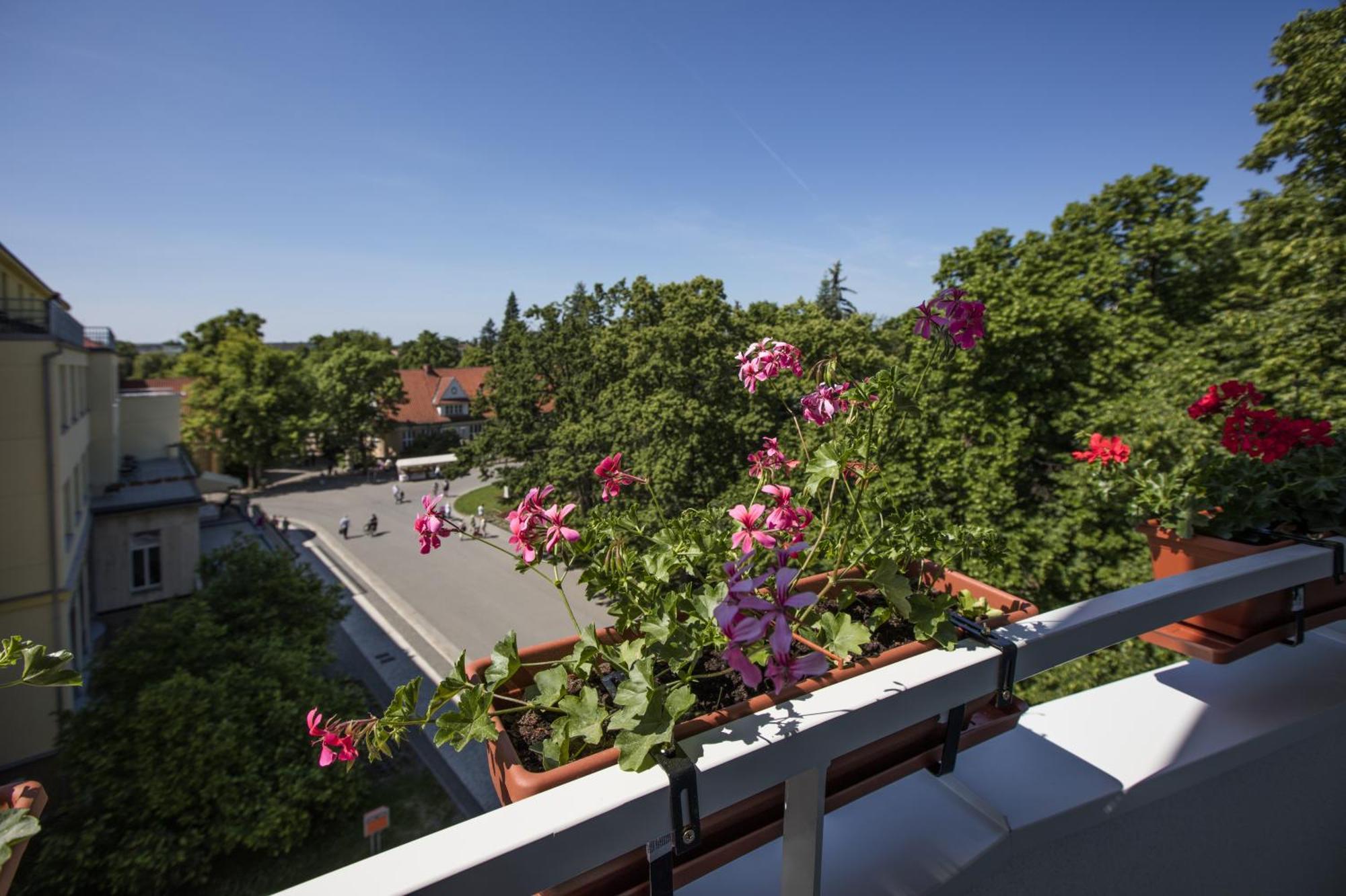 Hotel Bellevue Tlapak Poděbrady Rom bilde
